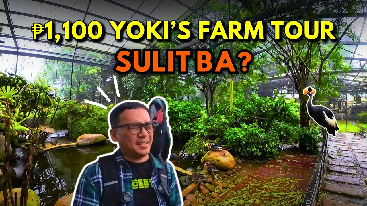 Ride to Yoki’s Farm | Farm Tour with Animals, Hydroponics & Museum (Near Tagaytay)