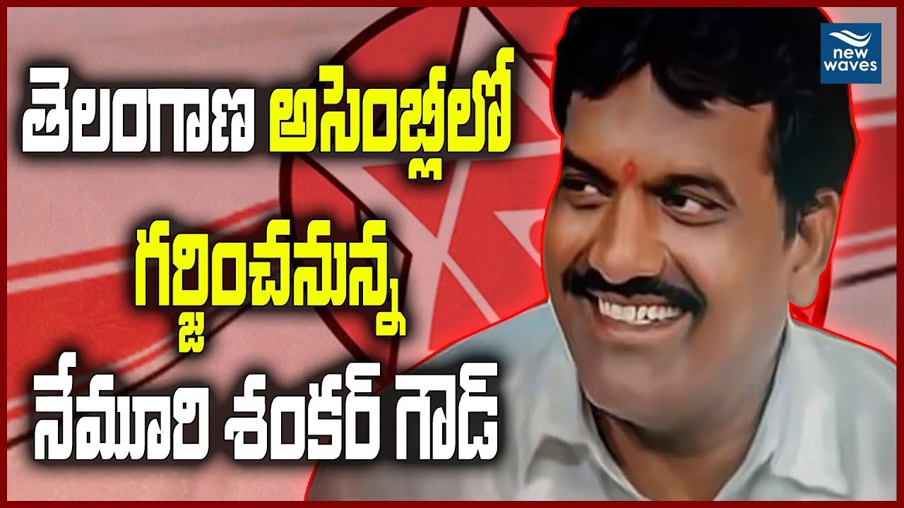 Janasena Secunderabad MP Candidate Sri Nemuri Shanker Goud Special Video | New Waves