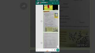 Uso da letra H no início das palavras