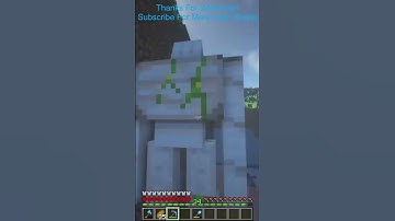 That Iron Golem Was Hacking Right?