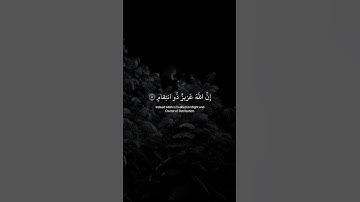 اكتب شيء تؤجر عَليه 🌿.#القارئ_اسلام_صبحي