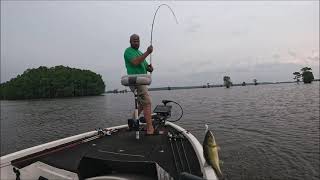 Caddo Lake, May 26th, 2024