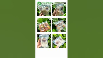 Túi Zip Chỉ Đỏ Đựng Bánh Tráng Tiện Lợi, An Toàn Vệ Sinh Thực Phẩm  #inthanhtien