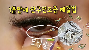 속눈썹연장후기름샘청소방법/ 눈꺼풀피지제거 영상/ 1분만에 안구건조증해결