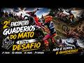 A Grande Final do Desafio"