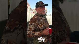 Manage Turkey Predators In New Zealand