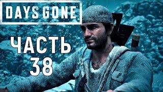 Days gone|Жизнь после прохождение➤Часть 38➤Перевал Тилсен.