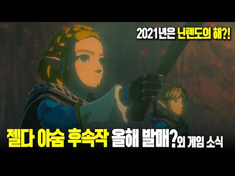 📮 젤다 야숨 후속작 올해 발매?(루머), 유저가 뽑은 2020년 최고의 게임외 게임 소식 VOL.7