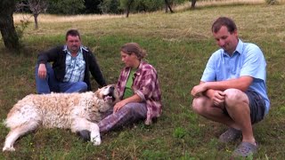 Maroš Zúri, Lebo Za Jankou Prišiel Ďalší Nápadník Farmár Hľadá Ženu