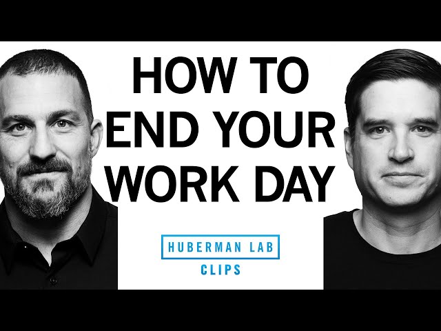 Lower Stress With an End-of-Day Ritual | Dr. Cal Newport u0026 Dr. Andrew Huberman class=