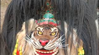 koleksikoleksi barongan Blora mustika macan kumbang