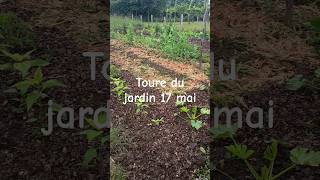 Petit toure rapide du jardin le 17 mai.