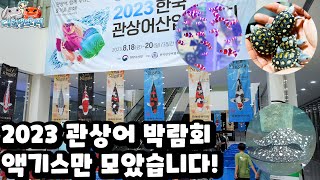 [EN]2023 관상어 박람회에서 꼭 봐야 할 것들을 담았습니다+구독자 이벤트