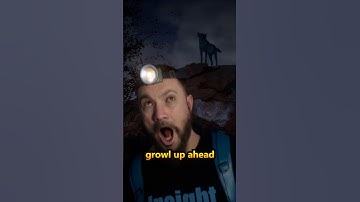 How to Survive a Wolf Attack