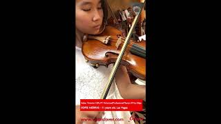 Italian 'Antonio CERUTI’ Concert 4/4 Advanced Violin by Gliga - Sound SAMPLE