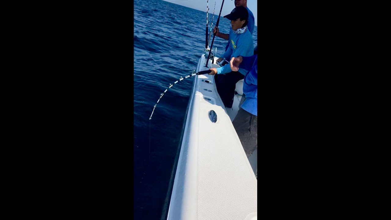 Girls Catch Tuna Too Cape Cod Bluefin Tuna on Standup with Reel Deal