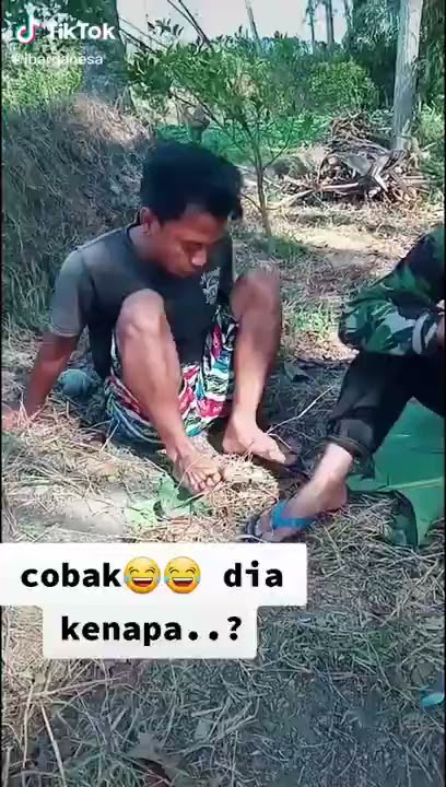 MABUK KECUBUNG