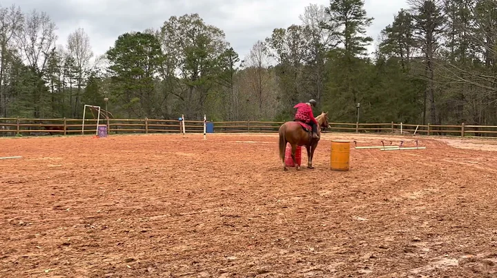 VTRC #25 Jenny Abbott on Bella. Basic 60+ open