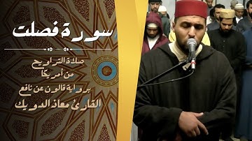 صلاة التراويح للقارئ معاذ الدويك من أمريكا | ما تيسر من سورة فصلت | برواية قالون عن نافع