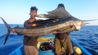 Catching 30 kg Sail Fish in the Sea