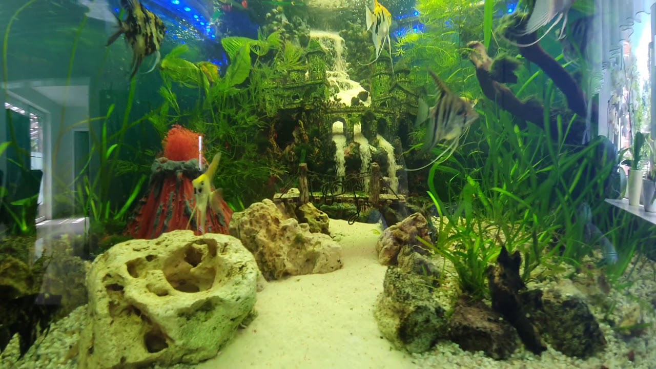 Aquarium Waterfall Vulcano DIY Sandfall YouTube