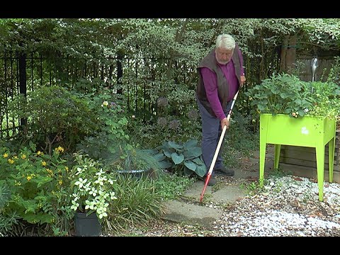 Vidéo: À quoi sert un râteau à main : conseils sur l'utilisation d'un râteau à main dans le jardin