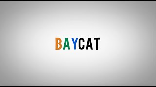 BAYCAT Fall 2023 Studio Internship Highlights