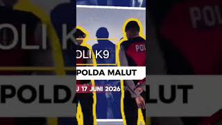 KEGIATAN PATROLI RUTIN UNIT SATWA K9 DIT SAMAPTA POLDA MALUT GUNA MENJAGA KAMTIBMAS