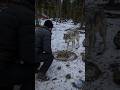 Kind Person Rescued a Wolf Cub 🐺🥰 #AI #animals #rescue #kindness #shorts