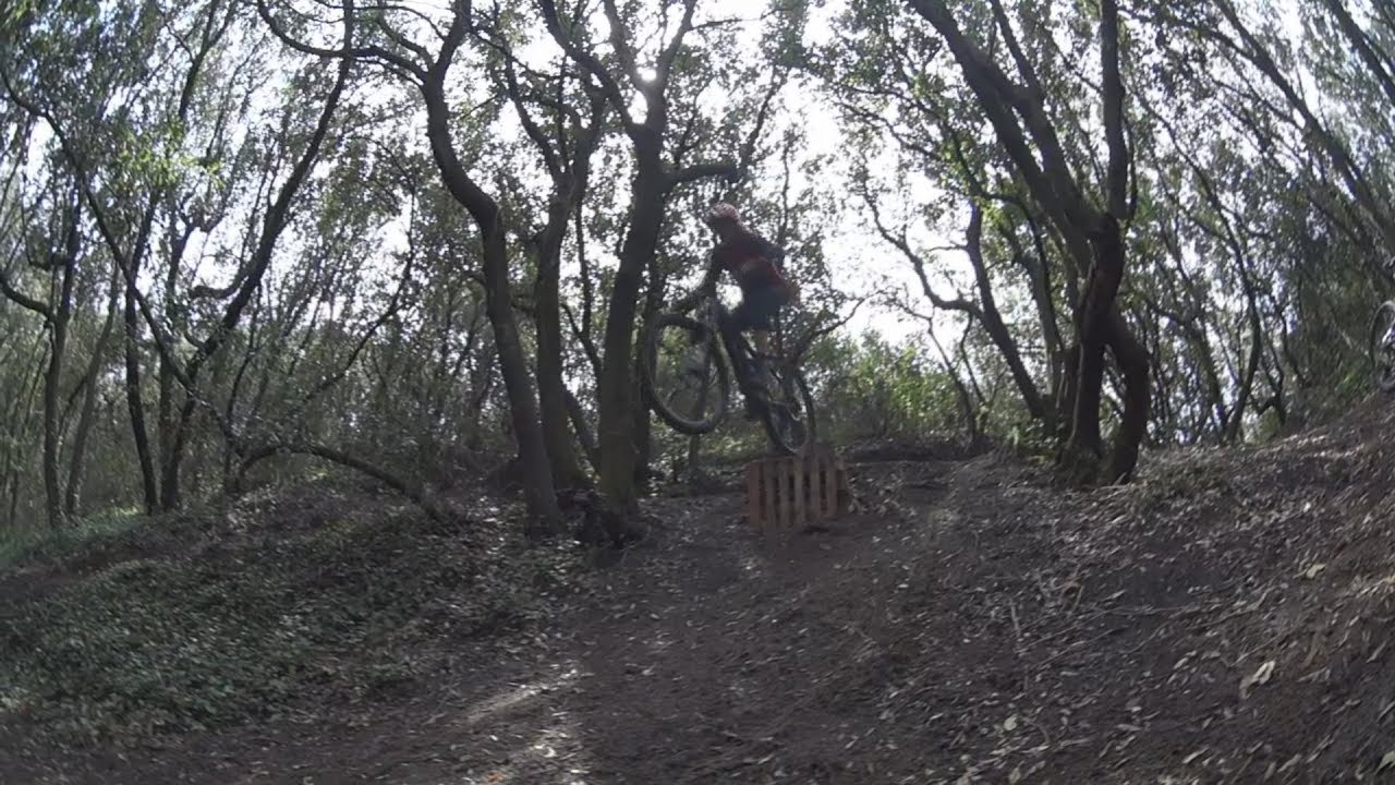 mini bike park