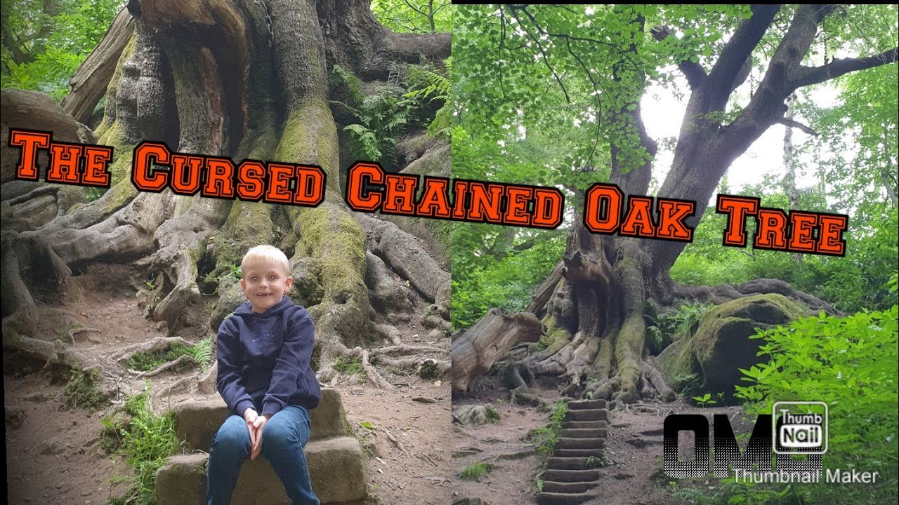 Scary Cursed Story!! 😱 The Chained Oak Tree of Alton Towers 👻🌳