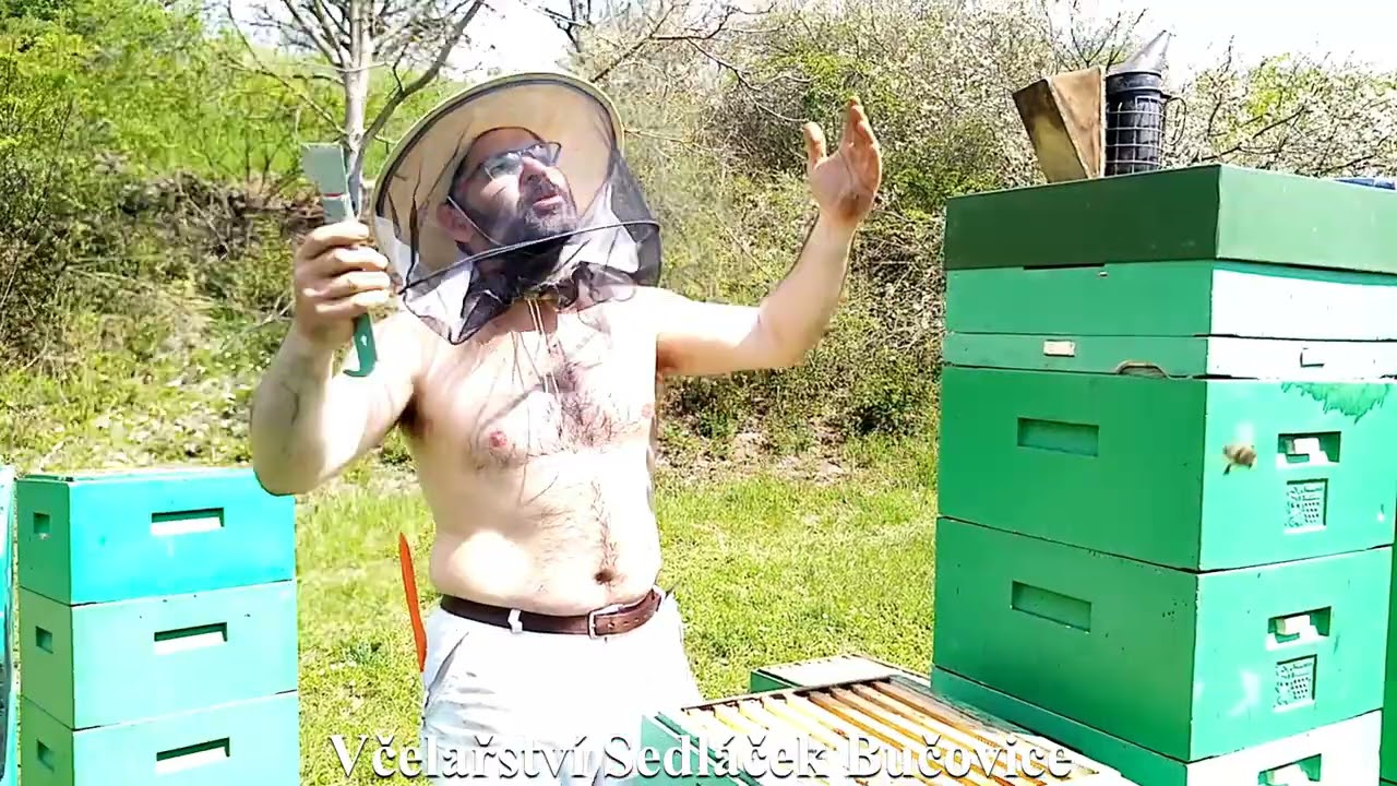 92/21  Optimalizované plodiště - J4 nasazení dalších MD v Zemi zaslíbené. Včelařství Sedláček