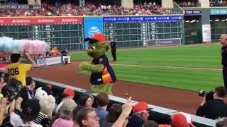 Orbit stole cotton candy from the vender then ran away with it