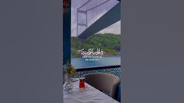 Surah Fath aya 4 ( سوره مبارکه فتح آیه 4 )