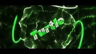 Intro #8 | Turtle