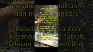 #MENHIRRancakalong#SUMEDANG#MENHIRRancadarah#PURWAKARTA#Batuan#Sejarah#Peradaban#Ancient#Technology