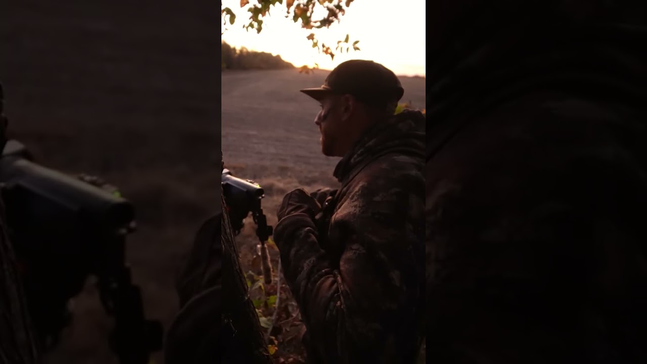 Mysterious Deer Encounters: Night Vision Secrets Revealed! #shorts