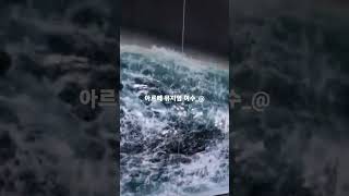 아르떼뮤지엄 여수 영상
