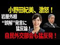 【小野田紀美】「小野田紀美、激怒!岩屋外相“誤解”発言に猛反論!自民外交部会が猛反発!ビザ緩和の危険とは?」