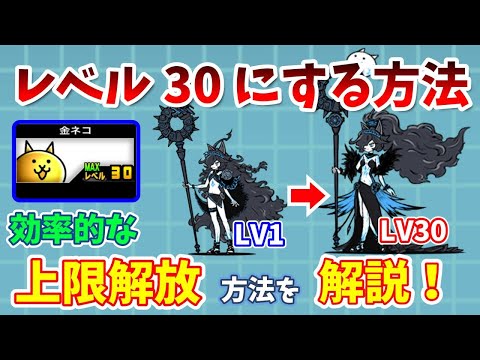 The Battle Cats] How to reach level 30! Explaining how to