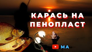 Рыбалка на карася.Как поймать карася на пенопласт !!! Смоленская область.