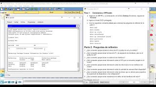 11 3 3 3 Packet Tracer   Using Show Commands