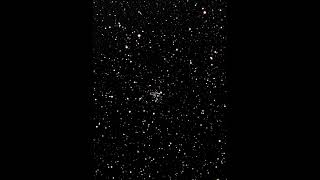 NGC 2266 Open Cluster with SvBony 80mm ED refractor #astrophotography #astrophotos #astronomy NGC 2266 Open Cluster with SvBony 80mm ED refractor #astrophotography #astrophotos #astronomy