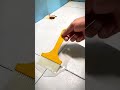 Cat Anti Bocor