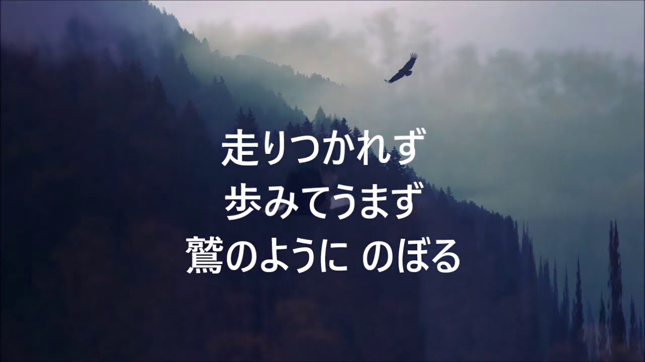 賛美「主を待ち望む者は」