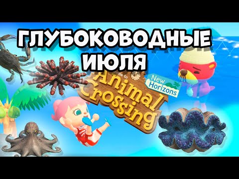 Video: Animal Crossing Swimming: Ako Vysvetliť Plávanie, Neoprénový Oblek A Potápanie V New Horizons