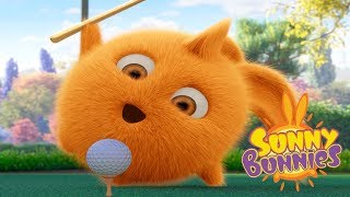 Sunny Bunnies - PLAY CRAZY GOLF | Videos For Kids | Funny Videos For Kids