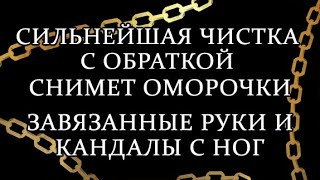 видео: Посмотри сегодня! Не забудь! #оморочка картинка: Посмотри сегодня! Не забудь! #оморочка
