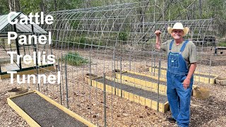 Cattle Panel Trellis Tunnel Using Planter Beds