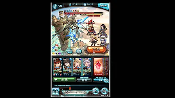 シュヴァマグ 確定流し
